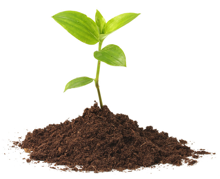 it-environmental-diligence IT Environmental Diligence