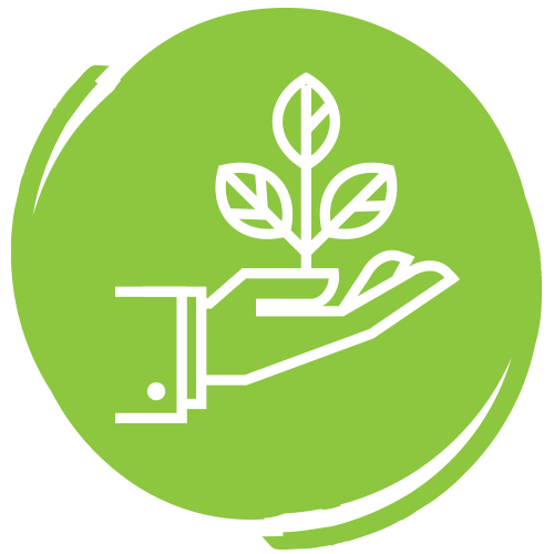 ITAD-environmental-responsibility-icon Icon of a hand holding a plant